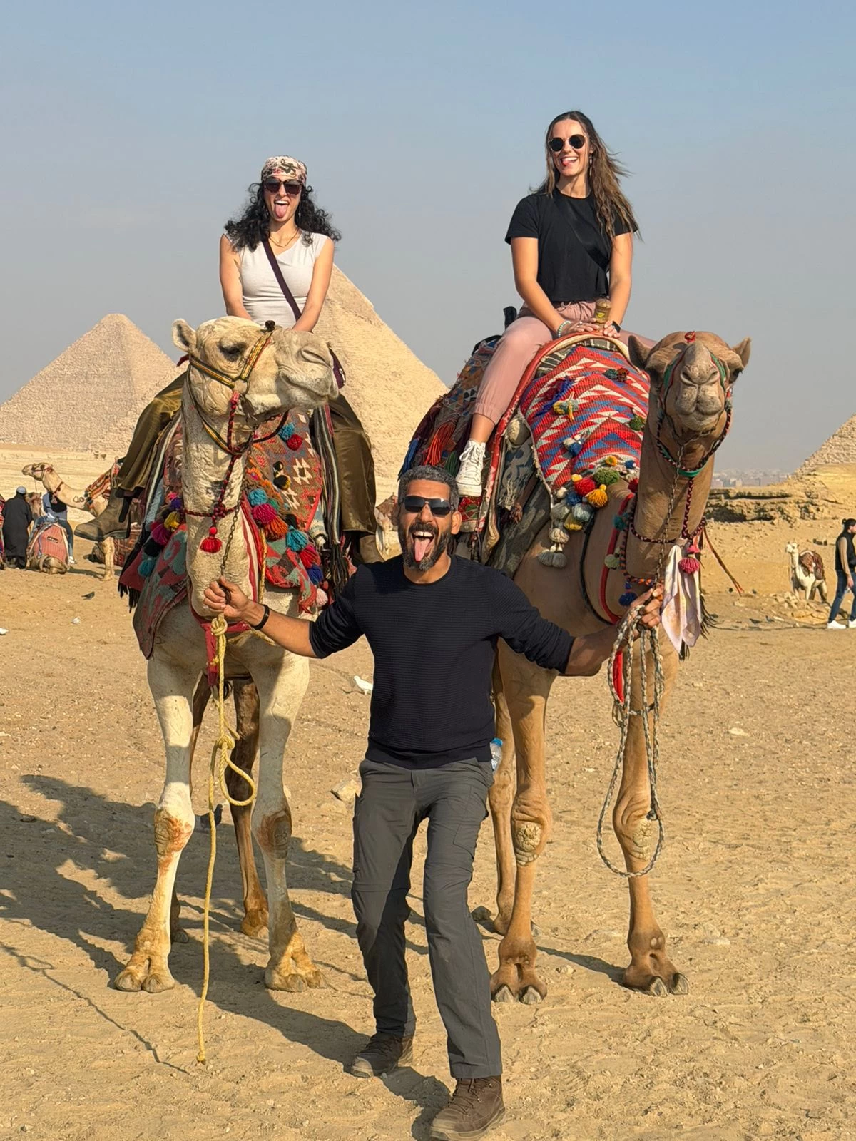 14-Day Treasures of Egypt