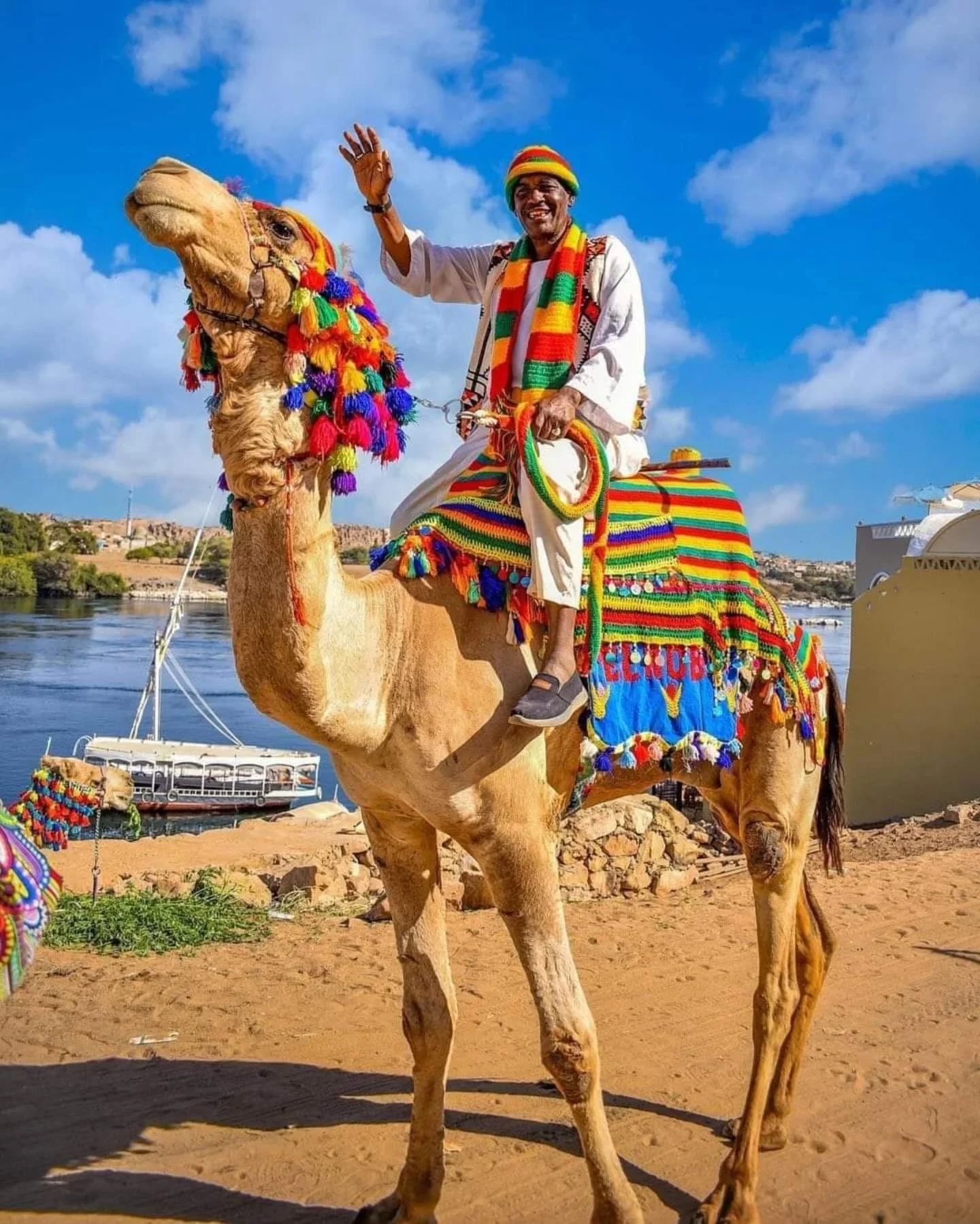 Anim labore dolor mollit esse do labore adipisicing fugiat