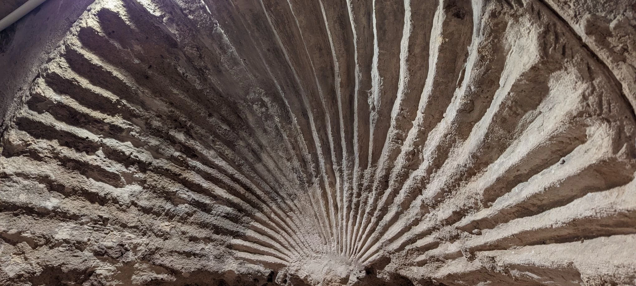 Alexandria Attractions